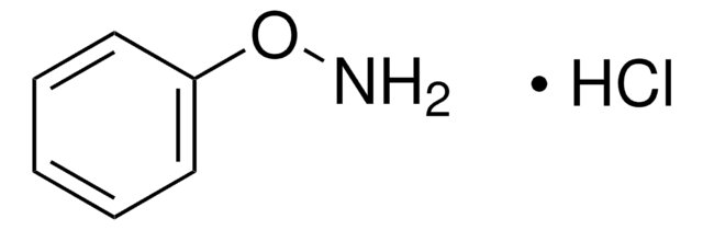 O-Phenylhydroxylamin -hydrochlorid &#8805;97.0% (AT)