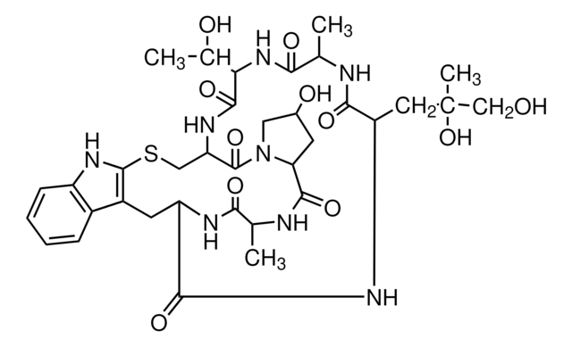 Phalloidin aus Amanita phalloides &#8805;90%