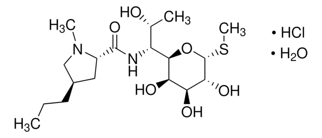 リンコマイシン 塩酸塩 一水和物 Pharmaceutical Secondary Standard; Certified Reference Material