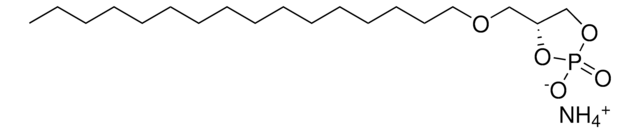 C16 Cyclic LPA 1-O-hexadecyl-sn-glycero-2,3-cyclic-phosphate (ammonium salt), powder