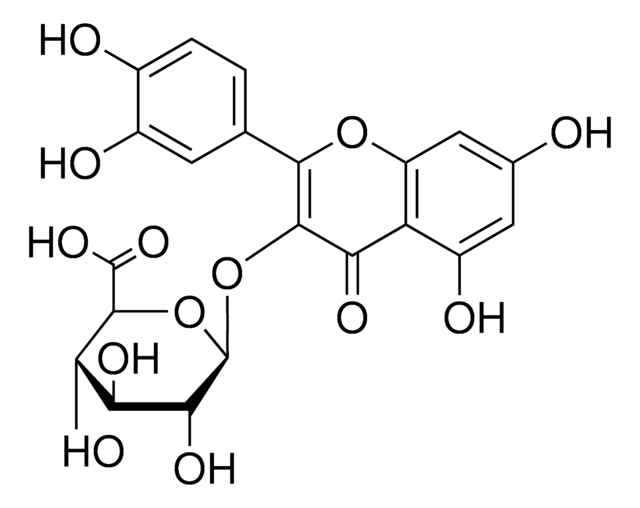 Quercetin 3-glucuronide &#8805;95% (LC/MS-ELSD)