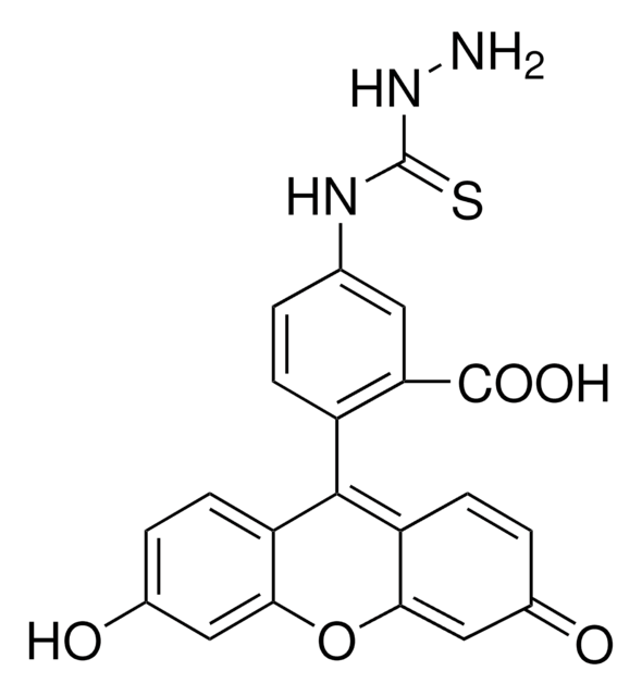 Fluoreszein-5-thiosemicarbazid suitable for fluorescence, ~80% (HPCE)