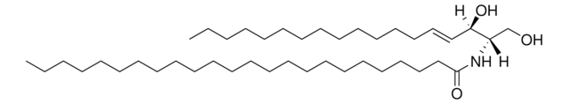 C24セラミド（d18:1/24:0） Avanti Research&#8482; - A Croda Brand