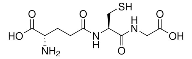 谷胱甘肽高容量磁性琼脂糖珠 (1:1 suspension in a 30% ethanol solution)