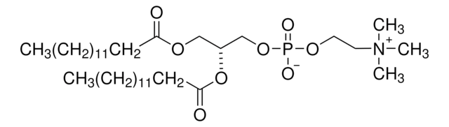 1,2-Dimyristoyl-sn-glycero-3-phosphocholine &#8805;99%