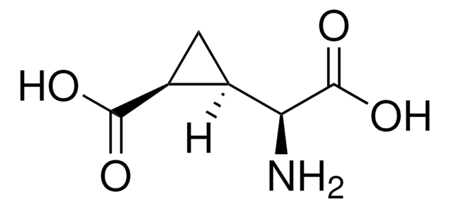 (2S,3R,4S)-&#945;-(Carboxycyclopropyl)glycine solid