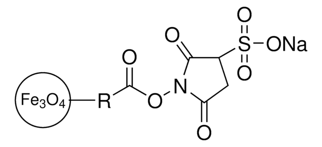 Iron oxide(II,III) magnetic nanopowder 30&#160;nm avg. part. size (TEM), NHS ester functionalized