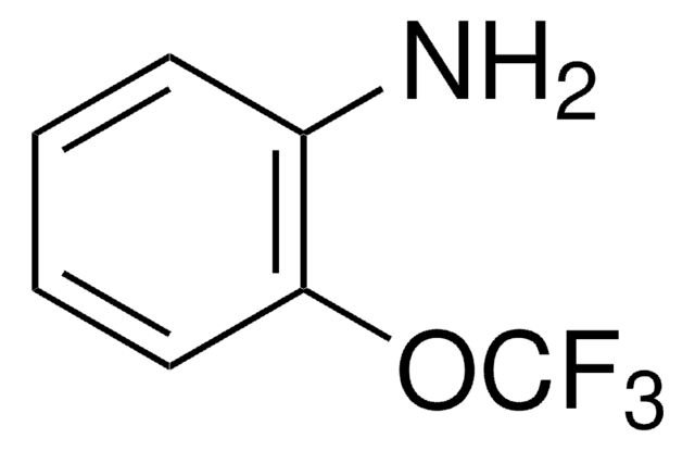 2-(Trifluormethoxy)-anilin 95%