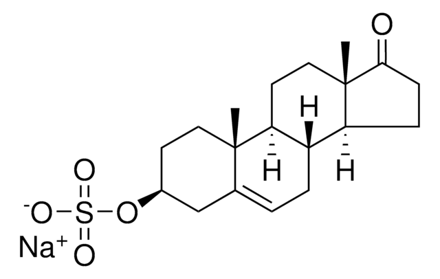 DHEA sulfate Avanti Polar Lipids