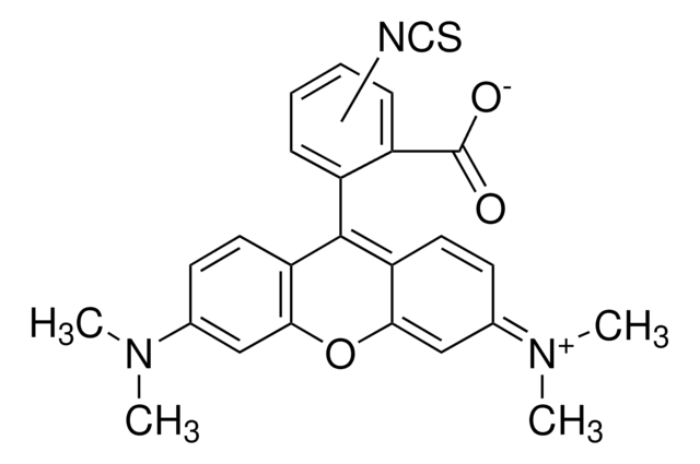 Tetramethylrhodamine isothiocyanate mixed isomers suitable for fluorescence, mixture of isomers