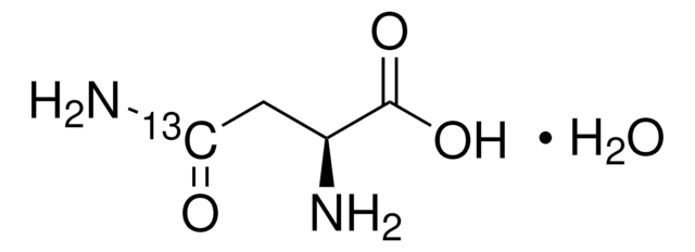 L-Asparagin-4-13C Monohydrat 99 atom % 13C