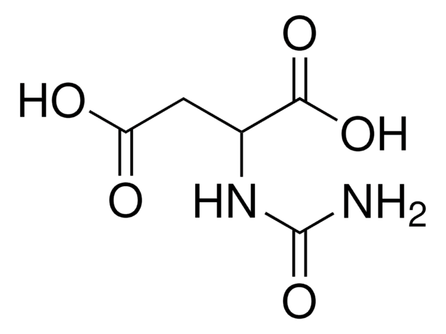 Ureidobernsteinsäure 98.0-102.0% (T)