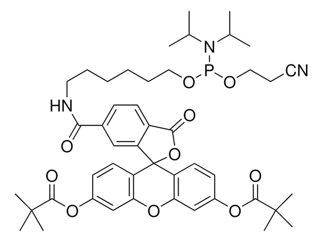 6-荧光素亚磷酰胺 configured for ABI