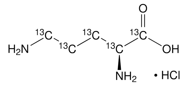 L-オルニチン-13C5ヒドロクロリド 99 atom % 13C, 98% (CP)
