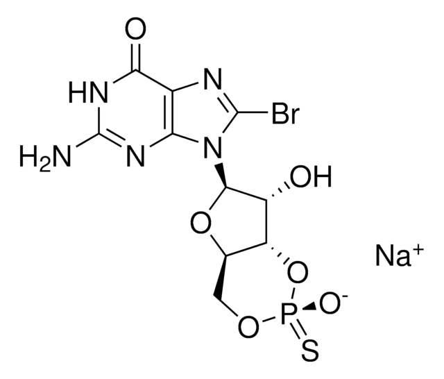 Rp-8-Br-cGMPS ナトリウム塩 &#8805;98% (HPLC)