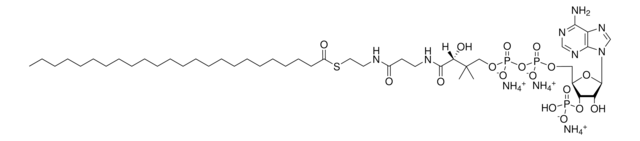 24:0 Coenzym A Avanti Research&#8482; - A Croda Brand 870724P, powder