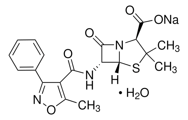 Oxacillin sodium Pharmaceutical Secondary Standard; Certified Reference Material