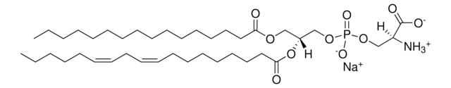 大豆磷脂酰丝氨酸 Avanti Research&#8482; - A Croda Brand 870336C