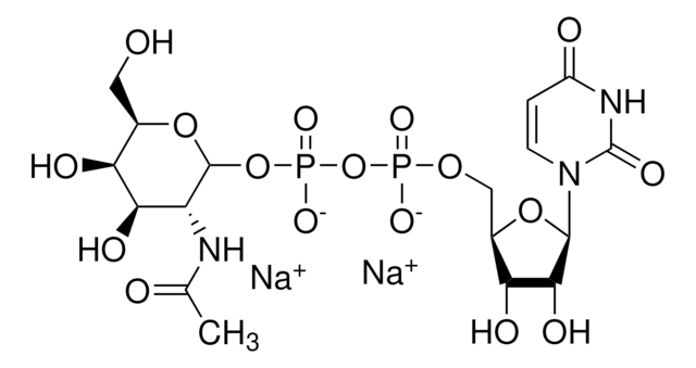 Uridin-5&#8242;-diphospho-N-Acetylgalactosamin Dinatriumsalz &#8805;97%