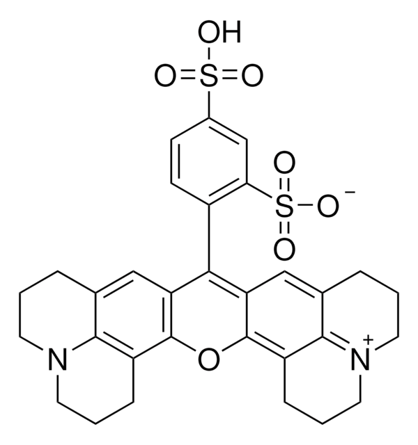 磺酰罗丹明 101 Dye content ~95&#160;%