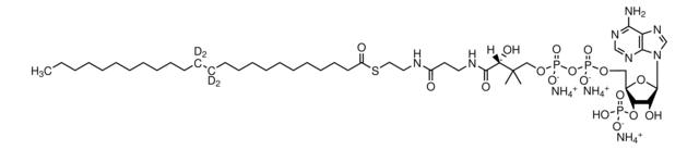 24:0(d4) Coenzyme A Avanti Research&#8482; - A Croda Brand, powder