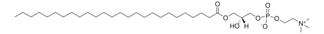 26:0 溶血 PC 1-hexacosanoyl-2-hydroxy-sn-glycero-3-phosphocholine, powder