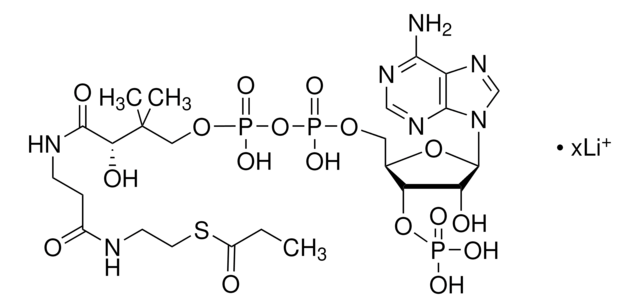n-プロピオニルコエンザイムA リチウム塩 &#8805;85%