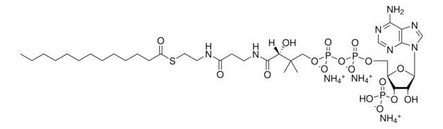 13:0 Coenzyme A Avanti Research&#8482; - A Croda Brand 870713P, powder