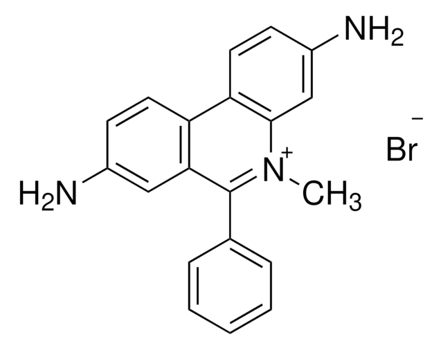 ジミジウムブロミド BioReagent, suitable for fluorescence, ~95% (AT)