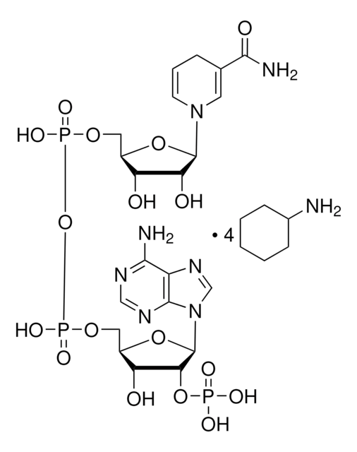 &#946;-Nicotinamidadenin-Dinucleotidphosphat, reduziert Tetra-(cyclohexylammonium)-salz &#8805;93%