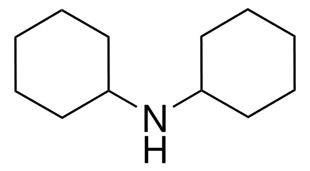 Dicyclohexylamin 99%