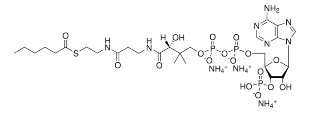 06:0 辅酶 A Avanti Research&#8482; - A Croda Brand 870706P, powder