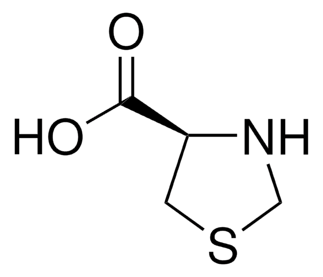 L-4-Thiazolidincarboxylsäure 98%