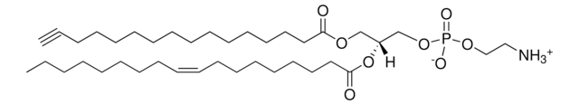 16:0(Alkyne)-18:1 PE Avanti Polar Lipids, powder