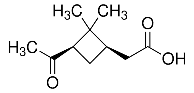 蒎酮酸 98%