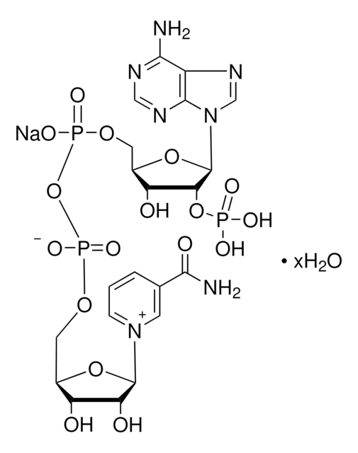 &#946;-ニコチンアミドアデニンジヌクレオチドリン酸 ナトリウム塩 pkg of 5&#160;mg (per vial)