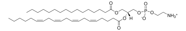 16:0-20:4 PE 1-palmitoyl-2-arachidonoyl-sn-glycero-3-phosphoethanolamine, chloroform