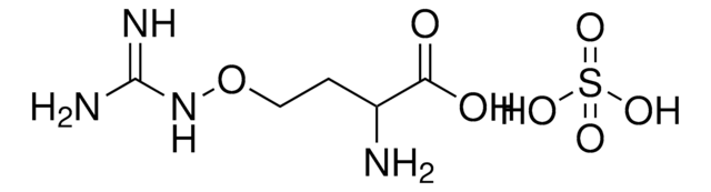 O-{[AMINO(IMINO)METHYL]AMINO}HOMOSERINE COMPOUND WITH SULFURIC ACID AldrichCPR