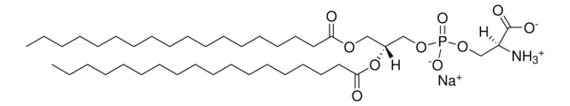 18:0 PS Avanti Polar Lipids