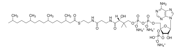 4ME 16:0 Coenzyme A Avanti Research&#8482; - A Croda Brand 870742P, powder