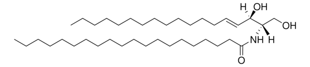 C20 神经酰胺 (d18:1/20:0) Avanti Research&#8482; - A Croda Brand 860520P, powder