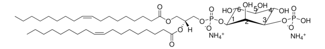 18:1 PI (3) P Avanti Research&#8482; - A Croda Brand