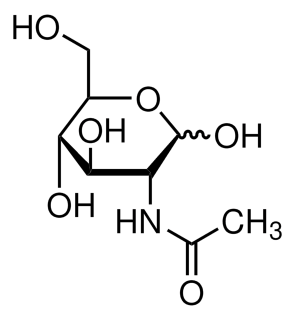 N-Acetyl-D-glucosamin-Agarose saline suspension