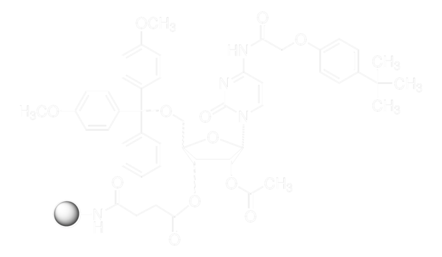 rC(tac)-CPG pore size 1000&#160;Å, 20-30 &#956;mol/g