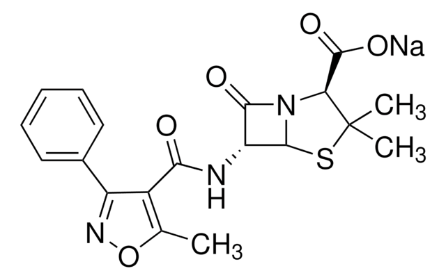 オキサシリン ナトリウム塩 815-950&#160;&#956;g/mg (Oxacillin)