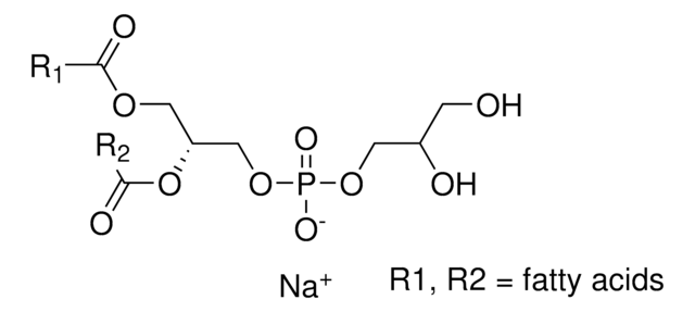 L-&#945;-ホスファチジル-DL-グリセリン ナトリウム塩 from egg yolk lecithin &#8805;99% (TLC), lyophilized powder