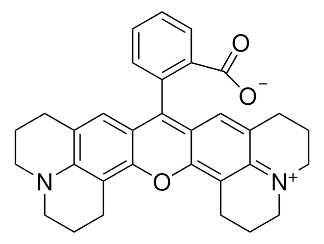 ローダミン101 分子内塩 for fluorescence