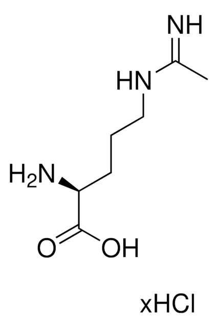 L-N5-（1-氨基乙基）鸟氨酸 盐酸盐 &#8805;95% (HPLC)