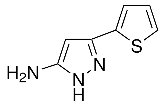 5-Amino-3-(2-thienyl)pyrazol 96%