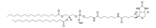 16:0 Biotinyl Cap PE Avanti Research&#8482; - A Croda Brand 870277P, powder